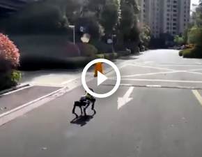 Pies-robot na ulicach Szanghaju. Dystopijne obrazy z opustoszaego chiskiego miasta WIDEO