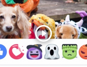 Halloween: Nowe reakcje na Facebooku!