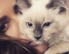 Kotek Natalii Siwiec ma konto na Instagramie