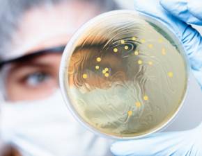 Jakie bakterie czekaj na nas w polskich kpieliskach? GIS informuje, gdzie mona kpa si bezpiecznie