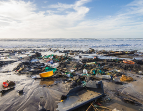 Tony plastiku zalay oceany... Powd: tworzywa sztuczne zwizane z pandemi
