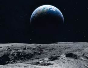 NASA wyhodowaa roliny w glebie z Ksiyca! Zesp naukowcw nie moe wyj ze zdumienia FOTO