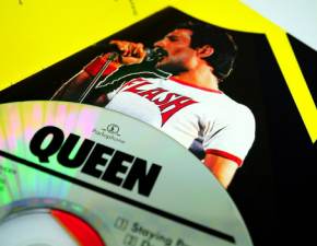 Kotka wyglda, jak wokalista Queen?! Widzicie podobiestwo do Freddiego Mercuryego? FOTO