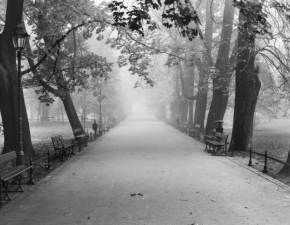 Tragedia w Warszawie. W Parku Praskim odnaleziono zamordowan kobiet