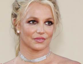 Britney Spears uderzona przez ochroniarza gwiazdy NBA? Piosenkarka wydaa owiadczenie! 