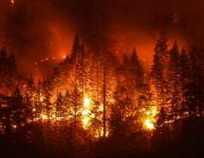Turyci w Czechach rozpalili ognisko. Tu obok poncego lasu... 