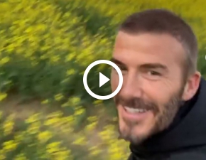 David Beckham rwnie jest fanem rzepaku? Doda uroczy filmik na Instagramie