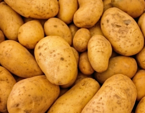 Ziemniaki cenniejsze ni zoto? W Peru hoduje si a kilka tysicy odmian!