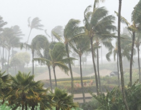 Cyklon Fani dotar do wybrzey Indii