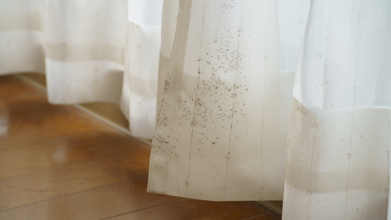 Białe firanki bez wybielacza. Wystarczą dwa proste składniki