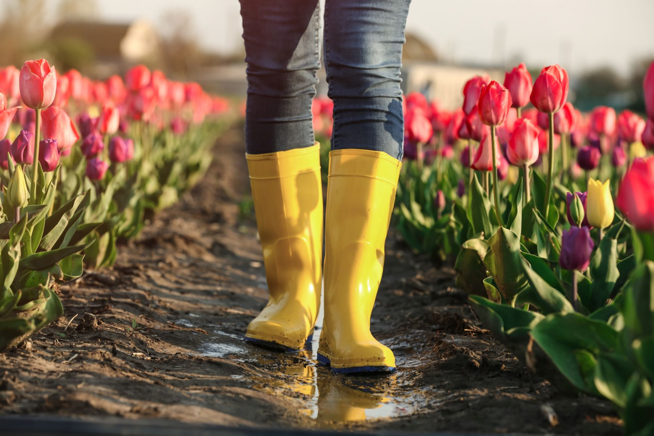 Deszczowa elegancja – jak kalosze stały się ikoną miejskiego stylu?