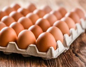 Ostrzeżenie GIS: Salmonella w jajkach!