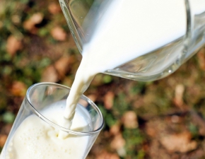 Nowy hit żywieniowy: mleko wytwarzane z grochu!