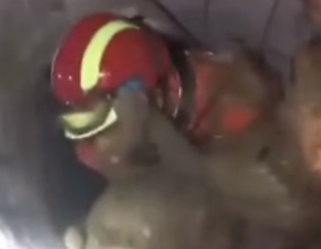 Wzruszające nagranie. Pies dziękuje ratownikowi, który ocalił mu życie