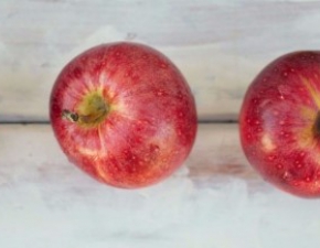 Jedz jabłka  będziesz zdrowy! Oto kilka powodów, dla których warto jeść te owoce