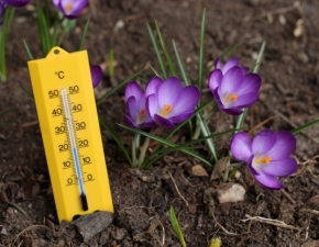 Prognoza pogody na sobot 30 marca: Dzi na termometrach nawet 18 stopni na plusie!