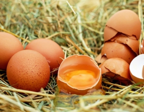 Wielkanoc 2018: Ktre jajka s najlepsze?
