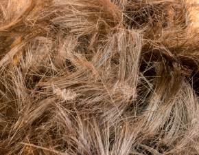 Przerażające znalezisko. Pod elewacją domu odkryto kilogramy ludzkich włosów!