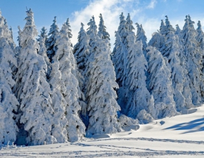 21 grudnia: Dzi najkrtszy dzie w roku i pocztek astronomicznej zimy!