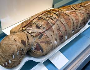Zrekonstruowano twarz mumii egipskiej krlowej. Jak wyglda? Internauci: Wspaniaa FOTO