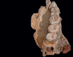 Przeomowe odkrycie: pierwsze osobniki Homo sapiens mogy opuci Afryk nawet 50 tysicy lat wczeniej!
