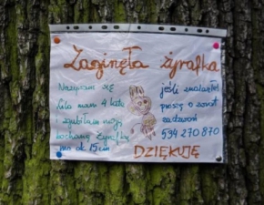 Szczecin: 4-latka szuka swojej ukochanej yrafki