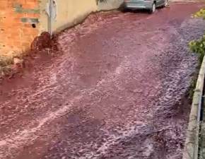 Rzeka alkoholu w Portugalii. 2 miliony litrw wina na ulicach po awarii destylarni WIDEO