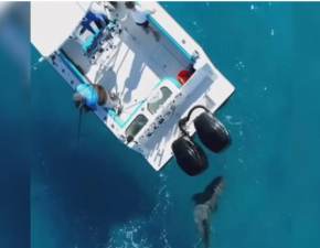 Monstrualny rekin zaatakował wędkarzy. Łódź skakała jak prażony popcorn WIDEO