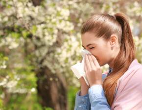 Wiosna to trudny czas dla alergikw... Jakie drzewa pyl w marcu i kwietniu?