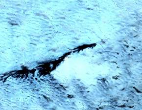Potwr z Loch Ness uchwycony na zdjciu? Trwaj najwiksze poszukiwania tej bestii od 50 lat WIDEO