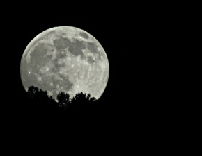Pełnia Księżyca Jesiotrów już wkrótce! Co to za zjawisko? Gdzie i kiedy oglądać?