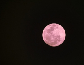 Pełnia Różowego Księżyca. Kiedy oglądać to zjawisko?