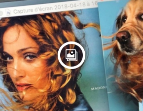 Maxdonna: Pies, ktry pozuje jak Madonna?! Co na to piosenkarka?