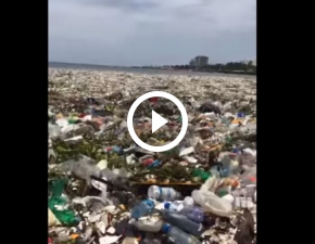 Dramatyczne video z Haiti. Wyspę zalewa ocean plastikowych śmieci