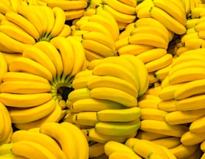 Ponad 160 kg kokainy w bananach popularnej sieci. Policja zabezpiecza towar w kolejnych sklepach 