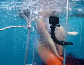Modelka erotyczna zaatakowana przez rekiny! Nagranie mrozi krew w yach