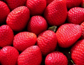 Ruszy sezon na truskawki. Zdradzamy smaczne przepisy z wykorzystaniem tych czerwonych owocw!