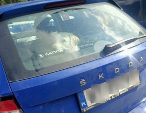 Tatry. Turystka zostawia psa w rozgrzanym samochodzie i posza nad Morskie Oko