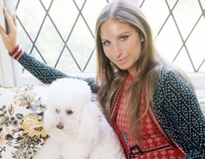 Barbra Streisand sklonowaa swojego psa. Organizacja PETA oburzona!