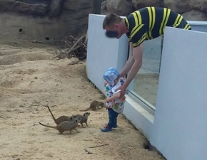 Ojciec woy dziecko do wybiegu dla zwierzt. Zoo w Zamociu komentuje
