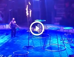 Drastyczne sceny w cyrku: Tygrys umiera podczas wystpu?! 18+ WIDEO