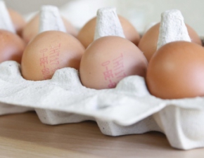 Skażone jajka w Polsce. Mogą być niebezpieczne dla zdrowia!