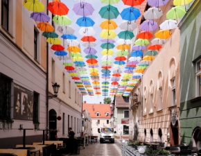 Kilkaset kolorowych parasolek nad gowami przechodniw. Zobaczcie t wyjtkow atrakcj Pszczyny!