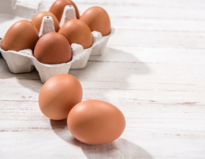 GIS ostrzega: Salmonella w jajkach!