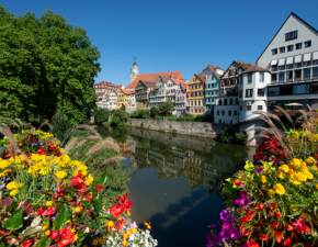 Tybinga. Zielone miasto z nowym ekologicznym podatkiem pozwane przez znany fast food