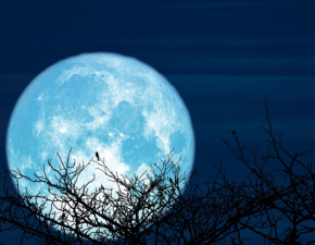 Idzie zima! Listopadowa Pełnia Bobrzego Księżyca już wkrótce. Koniecznie obserwuj wtedy niebo!