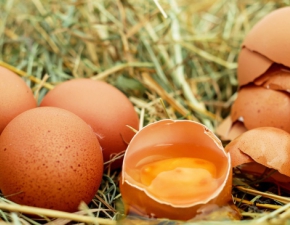 Europejskie jajka już nie są popularne? Eksport zmalał aż o 10%