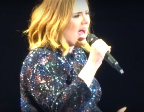 Adele z problemami na koncercie!