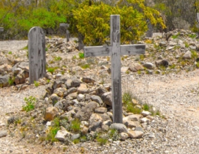 W Paryu powsta pierwszy ekologiczny cmentarz