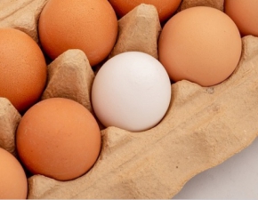 Odkryto antybiotyk w jajach klasy A: GIS ostrzega 